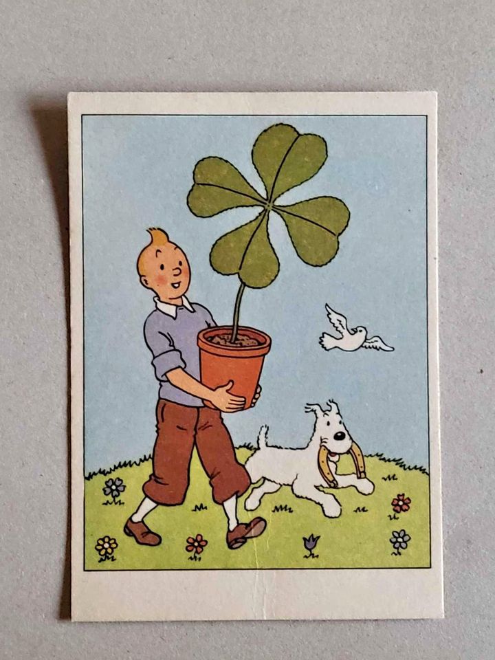 Tintin porte un trèfle géant Tintin porte un trèfle géant